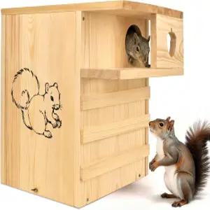 외부 둥지를 위한 대형 다람쥐 집 - 현관 나무 상자 칩멍크 및 작은 동물이 있는 초대형