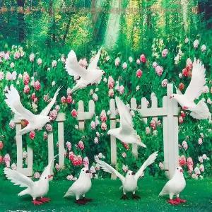 비둘기퇴치 방충망 그물망 베란다 아파트 방법 까치퇴치기 에어컨