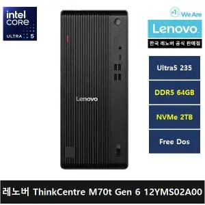 레노버 데스크탑 ThinkCentre M70t Gen6 12YMS02A00 코어 울트라5 235/AI PC/64gb/2tb/FreeDos - ps