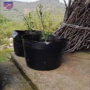 소형 비닐포트 대형 일회용 화분 모종 포트 모종컵