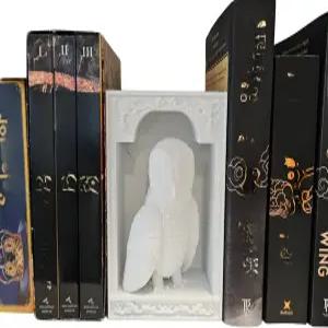 드래곤 어웨이크닝 북 엔드 독자를 위한 판타지 눅 삽입 책장과 도서관을 독특한 홈 데코 흰색 - 올빼미