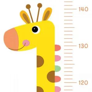 빠띠라인 족자형 벽걸이 키재기 꼭꼬핀 포함