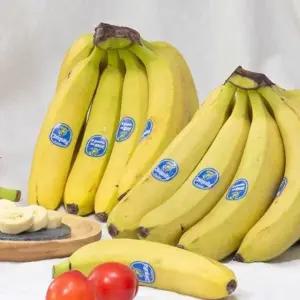 치키타 바나나 2송이 2.6KG 바나나 치키타 송이바나나 낱발바나나