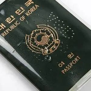 여권 케이스 투명 유광 1P 생활방수 앨범 지갑