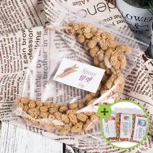 [하프클럽/올펫몰]맛있는 천연알곡 밀렛 50g 앵무새 햄스터 소동물간식