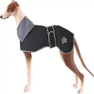 게이세테 개 겨울 코트 그레이하운드 레인코트 원단에 램 벨벳이 들어 있는 야외 반려견 의류와 중간 대형