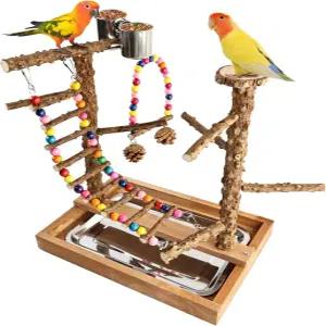 버드 퍼치 놀이대 놀이터 코누어 잉꼬 앵무새 코카티엘 장난감 케이지 액세서리 천연 목재