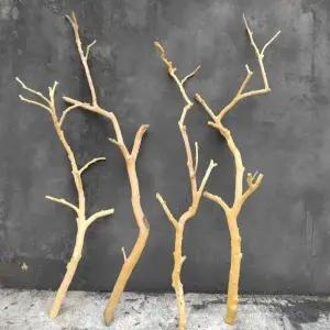 앵무새 놀이터 장난감 나뭇가지 퍼치 그네