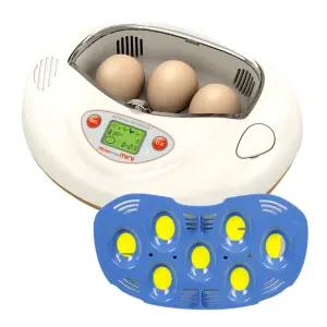 알콤 미니 자동부화기 DX-8800 [PX-03]