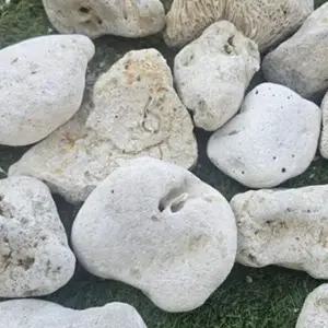 어항 꾸미기 은신처 조형물 수족관 장식 2kg 어항소품 해수어어항