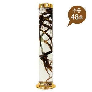 용천자연유리 수동 48호-1박스(6개)/담금주병/인삼주병/술병/과일주병/매실주/담금주/용천유리/48호