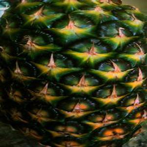 필리핀 골드 파인애플 5수 5kg