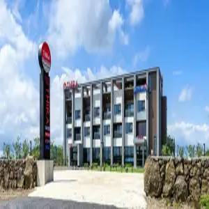 [제주] 제주 티라호텔(제주호텔/서귀포호텔/서귀포제주 티라호텔)