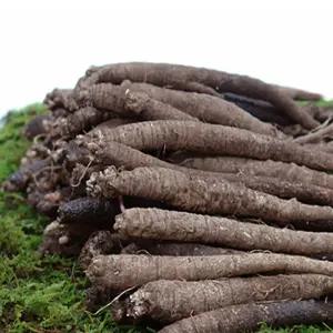 향긋! 갓수확한 국산 후금이네 참 더덕 (중) 45뿌리내외 1kg