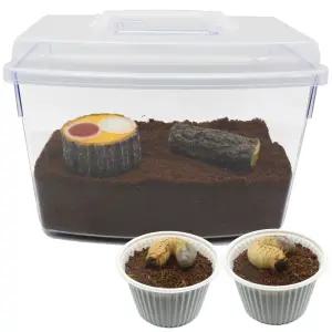 장수풍뎅이애벌레 두마리 풀세트 고급형 (성충용품 포함)