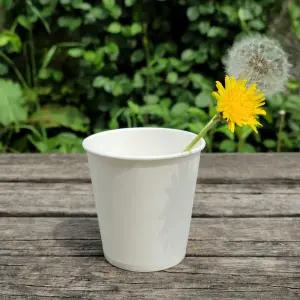 종이컵1000매 무지종이컵1000매 6.5온스 190ml 무형광 국내생산