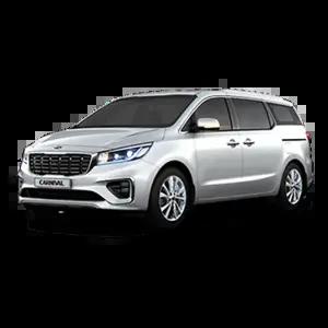 더 뉴 카니발 9인(경)