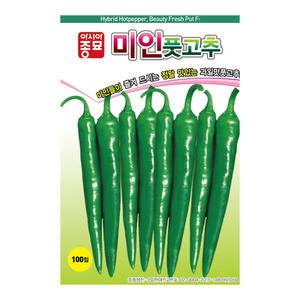 미인풋고추 씨앗 씨 종자 100립 과일맛 풋고추씨