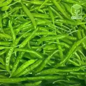국내산 땡초 청양고추 대량 도매 식자재 10kg
