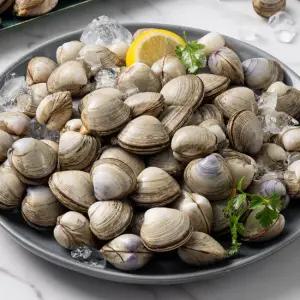 고창 직송 동죽조개(물총조개) 2kg