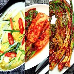 [팜쿡] 양주골 백김치 3kg+총각김치2kg+갓김치2kg