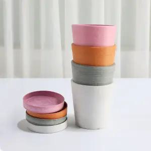 갑조네 바소 심플 플라스틱화분