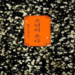 [카드10%] 소년이 온다 - 2024 노벨문학상 수상 작가 한강 저자 책