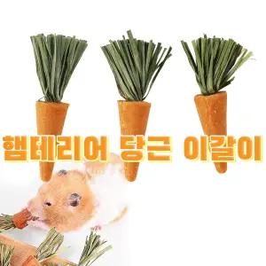 당근 이갈이 3P / 햄테리어 햄스터이갈이 토끼 기니피그