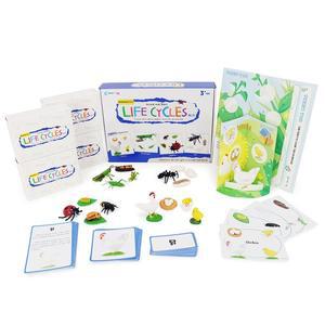 [러닝리소스](가베가족) KS4254 몬테소리플러스 라이프사이클 피규어 블루