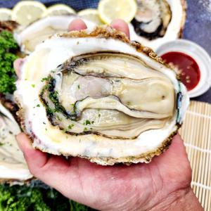 거제 해녀 자연산 바위굴 벚굴 하프셀 3kg 5kg