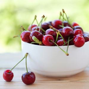 [CPL 영국] 프래그런스 오일 블랙체리 BLACK CHERRY Y Candle Type 100ml