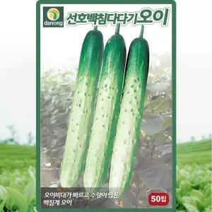 다농 선호백침다다기오이 씨앗 50립 백다다기 오이씨 종자
