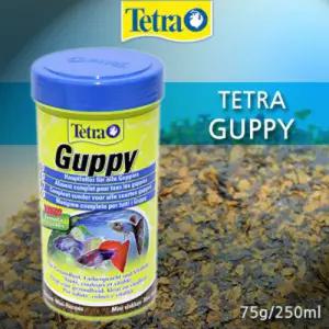 테트라 구피 250ml / 열대어 관상어 물고기 네온 몰리 먹이 사료 밥 수족관 플레이크 후레이크 플래티