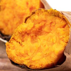 속노란 호박고구마 당근고구마 호풍미 풍원미 2kg 3kg