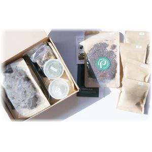 비단 이끼 테라리움 만들기 키트 비바리움 테라리움 재료 식물 DIY