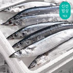 꽁치 구이 조림용 10미(한마리 120g내외) 원양 선동