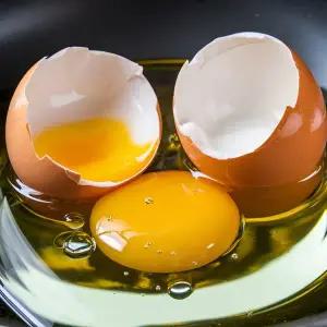 미식만찬 난각번호1번 오늘 산란한 유정란 40구 동물복지 인증