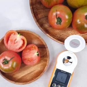 단짠단짠 대저 짭짤이 토마토 2S-3S 로얄소과 2.5kg