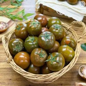 보성 흑토마토 2.5kg