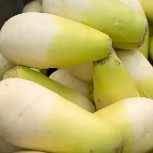 제주도 달큰한 세척 월동무 3kg 5kg 10kg 겨울무 김장무 동치미무 깍두기 무생채 섞박지 무우