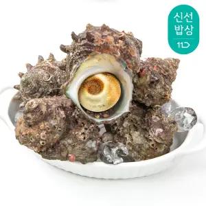 [품질보장]이순신수산 통영 뿔소라 중 1kg [8-10미]