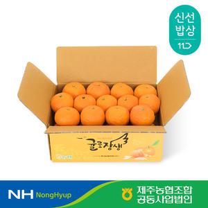 [제주농협] 귤로장생 카라향 2kg 로얄과(8-15입)