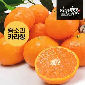 [산지직송]제주 달콤 카라향 2.5kg/소과(개당60∼100g)