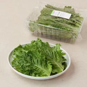 아삭이상추 150g (17~28입)