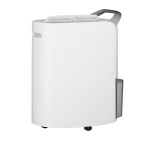 LG 휘센 제습기 DQ205PSVA 20L 실버(내일)