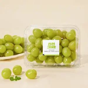 호주산 애플청포도 500g 팩
