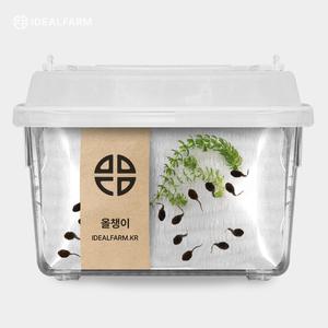 올챙이키우기세트 생태학습 과학교구 생물관찰키트