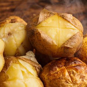 포슬포슬 국내산 제철 햇감자 설봉감자 3kg 5kg