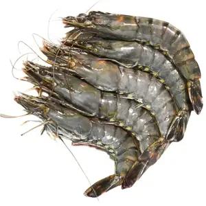 어부백서 냉동 블랙타이거새우 10미 20미 500g