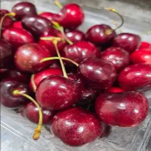 프리미엄 생 체리 빙체리/생 체리(9-9.5R) 2kg, 로얄과